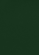 Tannengrun Ral 6009