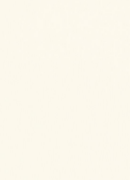 CremeWeib Ral 9001